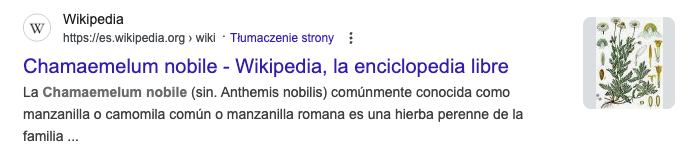 Cuál debería ser la longitud del title tag apto