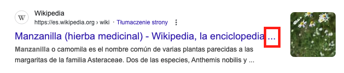 Cuál debería ser la longitud del title tag demasiado largo